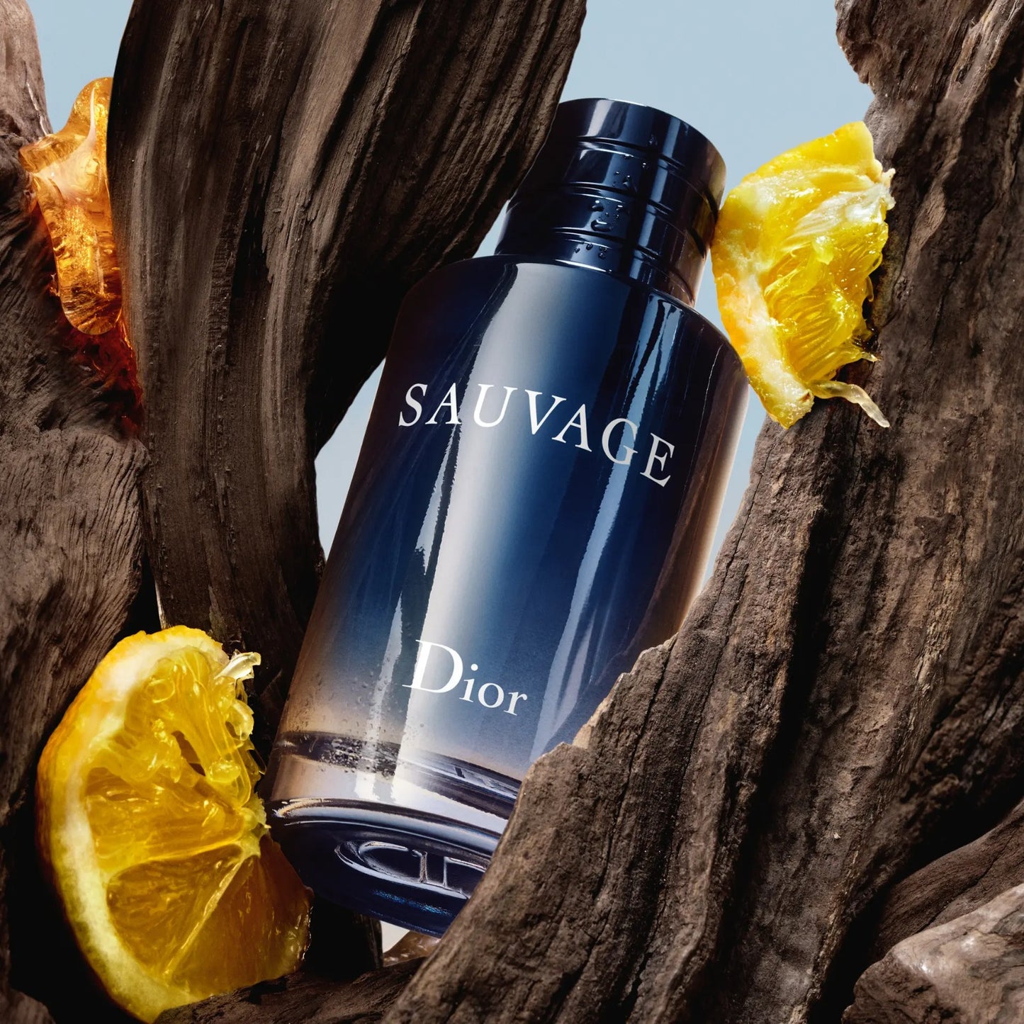 PERFUME DIOR SAUVAGE EDP